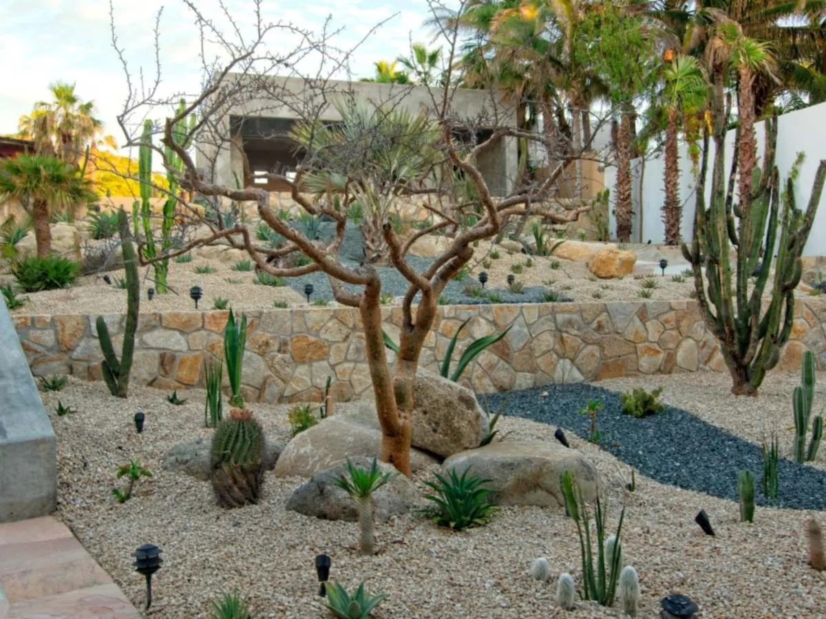 Desert landscaping with cactus and boulders beside the concrete stairway, El Encanto project